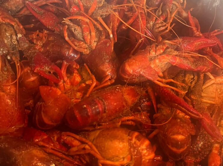 PHOTOS: Crawfish & Colleagues Mixer